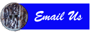 email.gif (5199 bytes)