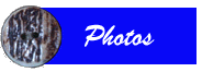 photos.gif (4185 bytes)